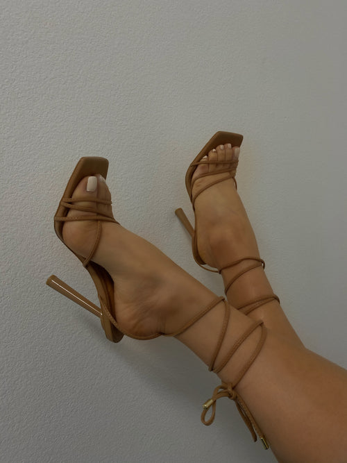 Kash Heel - Camel